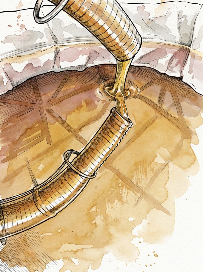 Le miel doré au filtrage, fraîchement extrait
