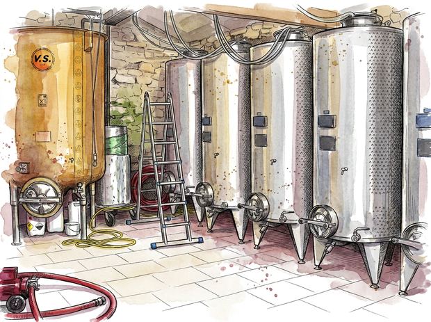 La cave du domaine — cuves et maturateurs — aquarelle