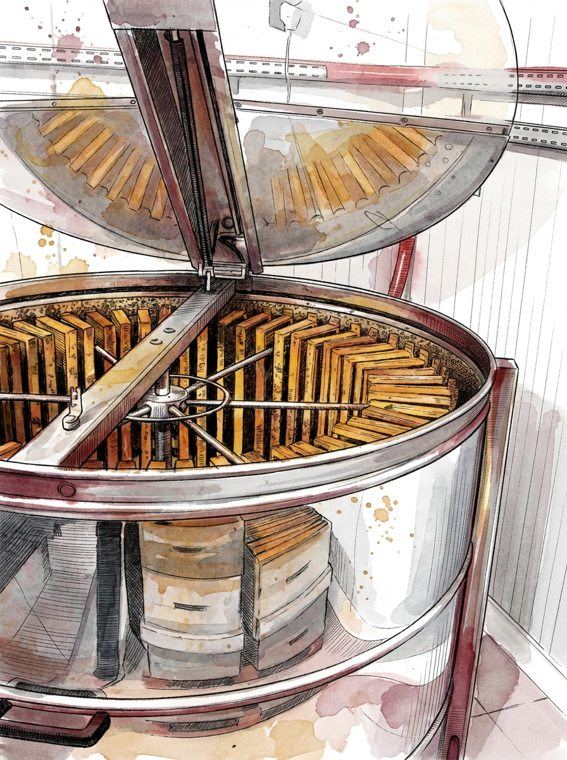 L’extracteur — le miel sort par simple force centrifuge